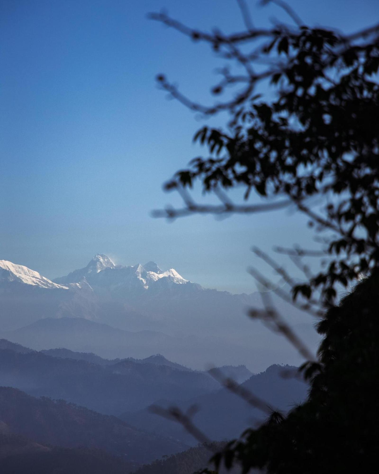 Kasar Himalaya Holiday Resort, Binsar Rd Almora Eksteriør bilde